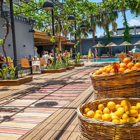 Cooks Club Appartamento Alanya